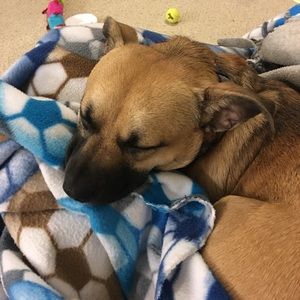 Meet your Posher, Nate